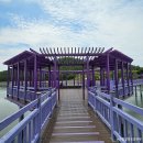 보라해물부대전골 | 24.6.6~8 전라도 2박3일 가족여행 신안 퍼플섬, 신안맛집 보라해물부대전골