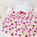 이쁜 댕댕이 이미지