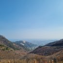 이가한우 정육점