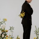 김진스냅앤스튜디오 이미지