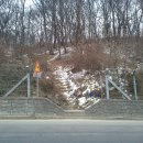 여우쉼터 이미지