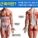 경희대국가대표 태권도 네이버블로그