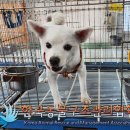 해맞이 동물병원 이미지