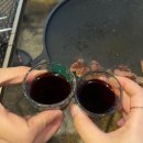 미러글램핑&풀빌라펜션 이미지