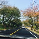 지리산청산별곡 이미지