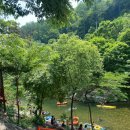 김삿갓 계곡 캠핑장 이미지