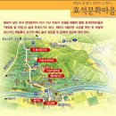 가산 이효석 탄생100주년 기념 효석문화재-봉평 메밀꽃축제 이미지