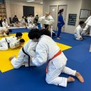 공명 유도 주짓수 이미지