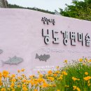 락한옥펜션 이미지