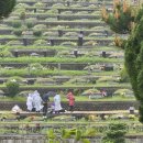 일심장례토탈 이미지