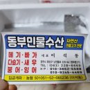 반건조생선 민물고기 민물 메기 구이용 생선동부민물수산 정보 후기 맛