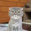 본사랑정형외과의원 이미지