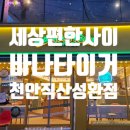 바나타이거천안