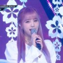 내맘이지(iz) 이미지