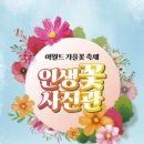이월드아카데미 이미지