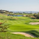 스카이골프클럽 이미지