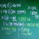 사진포농장 | [신영식 공시끝 한국사 개념편] 제49강 서민 경제의 발달 / 상품 화폐 경제의 발달