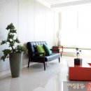 식물 인테리어 이미지