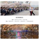 진해통상 | 2026 진해군항제 완벽 가이드 3월 27일부터 4월5일까지 개화시기부터 주차, 가수 라인업까지 10...