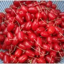 수림농장 이미지