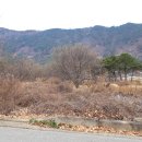 의령공인중개사사무소 이미지