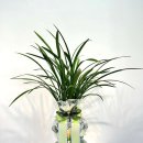 신우꽃집 이미지