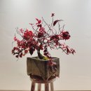 다화이야기