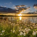 파로스학원 이미지