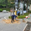 성송면사무소 이미지