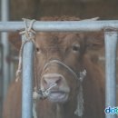 해조수산 이미지