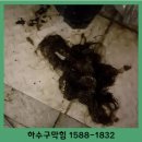중동변기막힘싱크대막힘하수구막힘변기수리