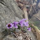 팔팔부동산중개 이미지