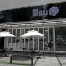 강남애견 이미지