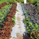 미강세탁 이미지