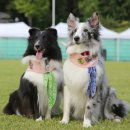 휘닉스파크 이미지