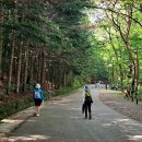 "여기 입구부터 감탄사 나오는 3.3km 계곡길" 시원해서 걷기 좋은 숲·계곡 트레킹 명소 이미지