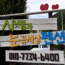 시냇물과 눈꽃세상 이미지