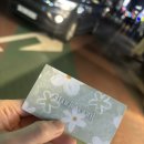 스튜디오 온프 | 마포망원속눈썹펌 반려동물동반 가능 '스튜디오 온프' 섀도우눈썹하고옴