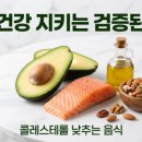한아연 | 철분많은음식 빈혈 예방하는 핵심 식품 완전 가이드