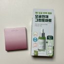 6월 첫째주 둘째주