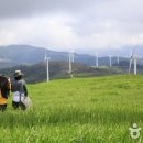 들꽃목장 이미지