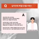 디딤동물병원 | 강아지 TPLO 후기: 한쪽 수술 후 반대쪽 파열 케이스