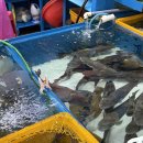 복성호 | 광안리 민락어민활어직판장 복성호&미선네, 가성비 끝판왕 회센터+주차/화장실