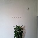 가재천 | [일상]2023년 2월 6일~2월 12일 주간일기 및 사진첩털이