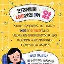 판교 행복한 동물병원 이미지