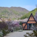 산골나들이 이미지