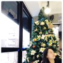 파스타스토리 이미지