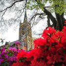 공세리마을 이미지