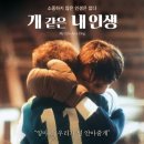 #영화소개 ＜개 같은 내 인생(My life as a Dog, 1985)＞ 이미지