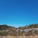 청풍한지체험장 | [1박2일 국내여행]봄꽃축제 제천여행- 고려청풍 한지체험